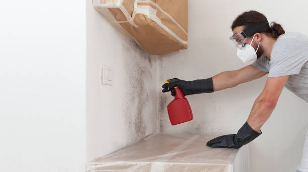 Professional Mold Testing technician working in Gladstone, NJ