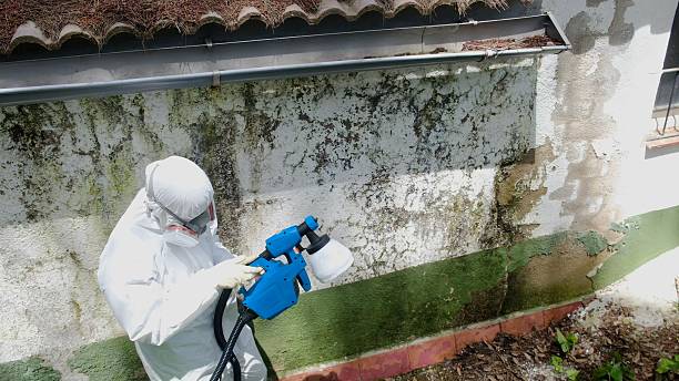 Top rated local Mold Testing specialists in Gladstone, NJ